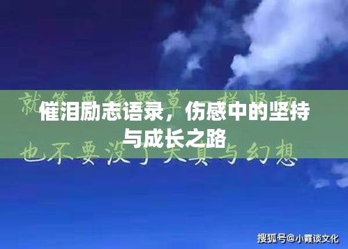 催泪励志语录，伤感中的坚持与成长之路