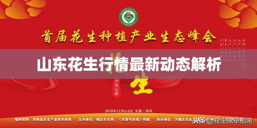 山东花生行情最新动态解析