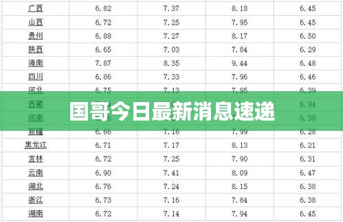 国哥今日最新消息速递