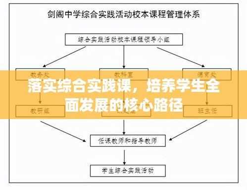 落实综合实践课，培养学生全面发展的核心路径