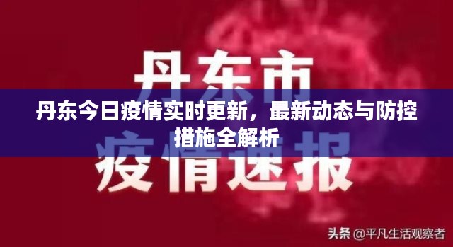 丹东今日疫情实时更新，最新动态与防控措施全解析