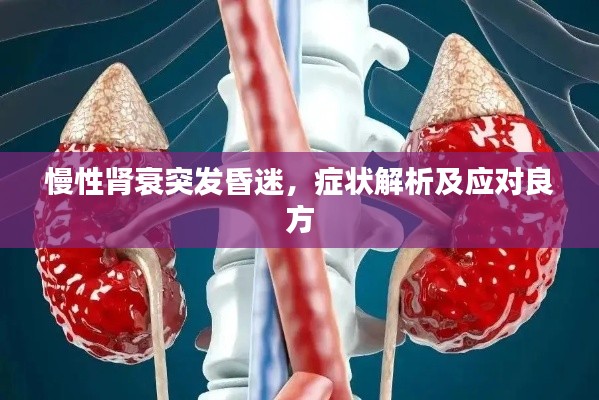 慢性肾衰突发昏迷，症状解析及应对良方