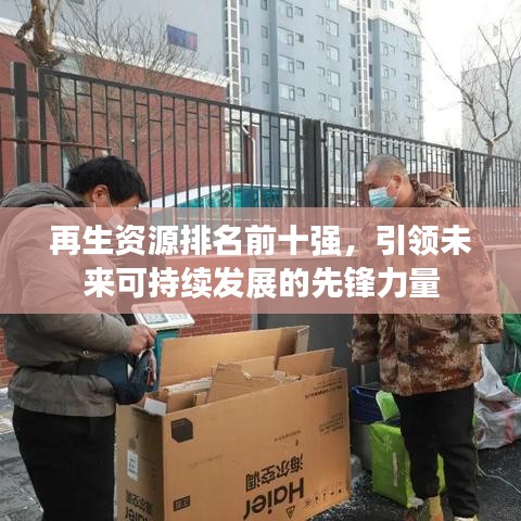 再生资源排名前十强，引领未来可持续发展的先锋力量