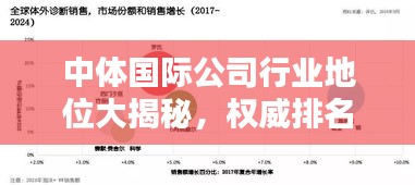 中体国际公司行业地位大揭秘，权威排名揭晓！