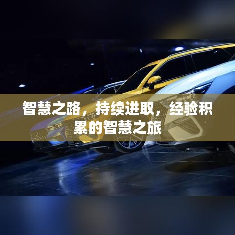 智慧之路，持续进取，经验积累的智慧之旅