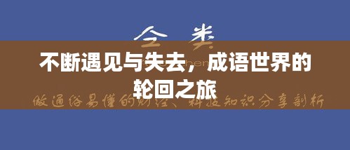 不断遇见与失去，成语世界的轮回之旅