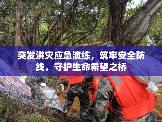 突发洪灾应急演练，筑牢安全防线，守护生命希望之桥