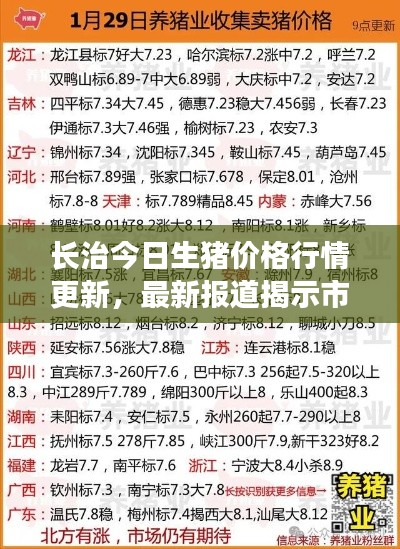 长治今日生猪价格行情更新，最新报道揭示市场走势