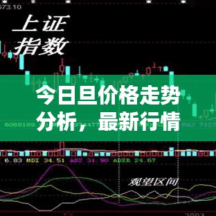 今日旦价格走势分析，最新行情揭秘
