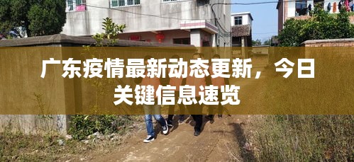 广东疫情最新动态更新，今日关键信息速览