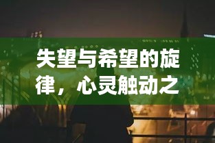 失望与希望的旋律，心灵触动之歌的探寻之旅